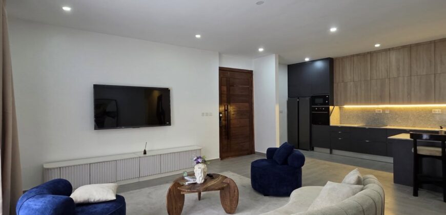 Elegant 2-Bedroom Duplex in Ikate