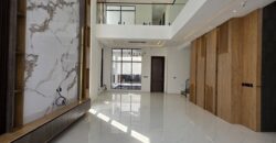 Executive Comfort & Style