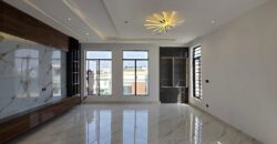 Executive Comfort & Style