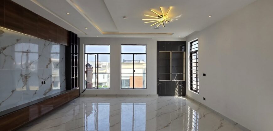 Executive Comfort & Style