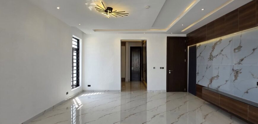 Executive Comfort & Style