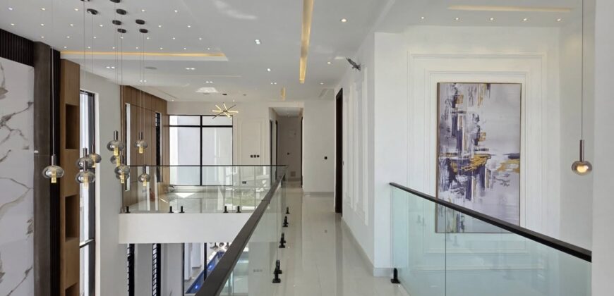 Executive Comfort & Style