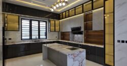 Executive Comfort & Style