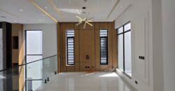 Executive Comfort & Style