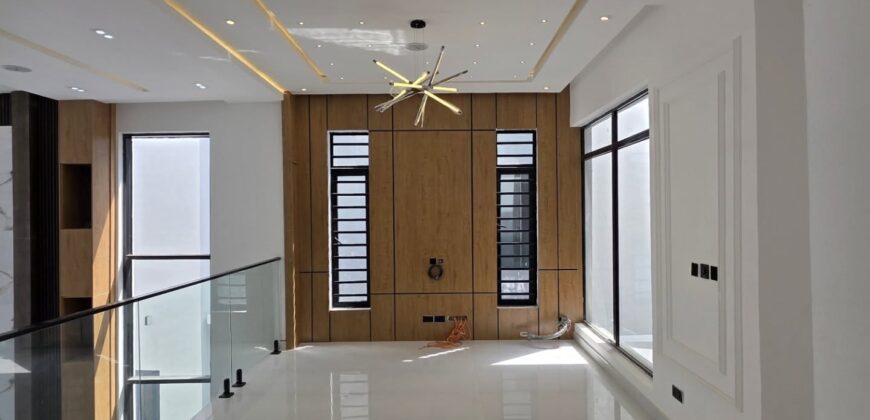 Executive Comfort & Style