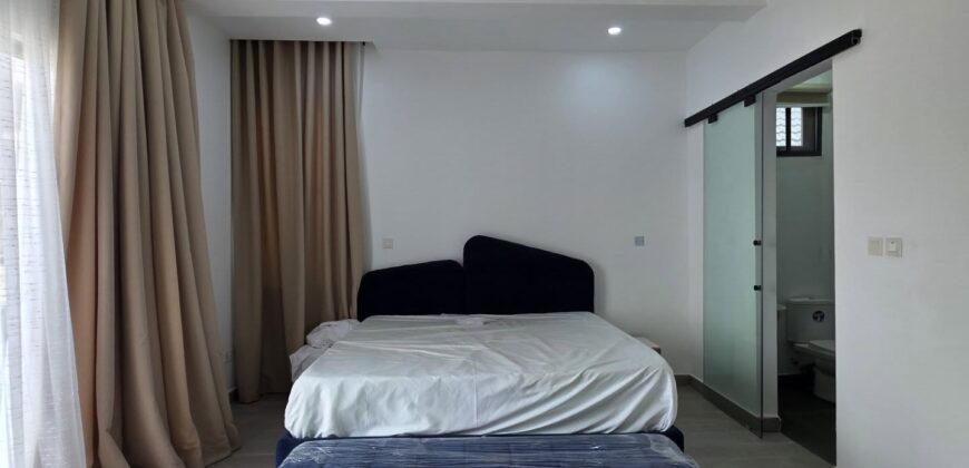 Elegant 2-Bedroom Duplex in Ikate