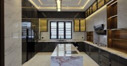 Executive Comfort & Style