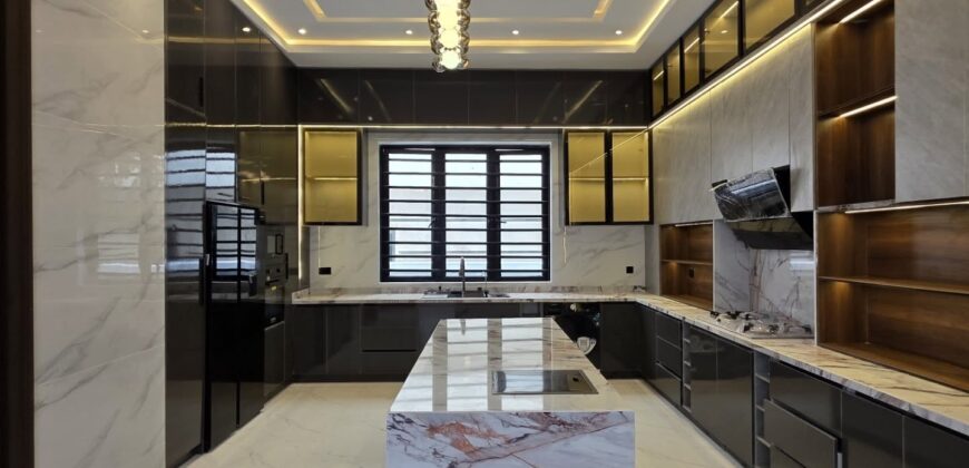 Executive Comfort & Style